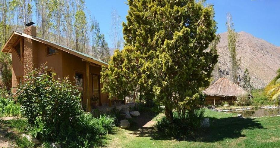 Alcoguaz的住宿－CASAS AMANCAY - Alcohuaz，一座有树的房子和一座茅草屋顶的建筑