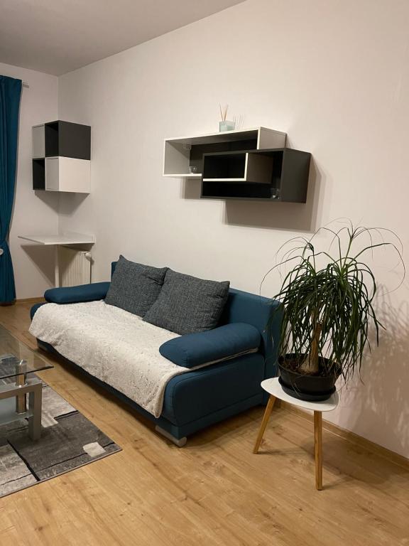 a blue couch in a living room with a potted plant at Peaceful living, 4 minutes from the city center in Košice