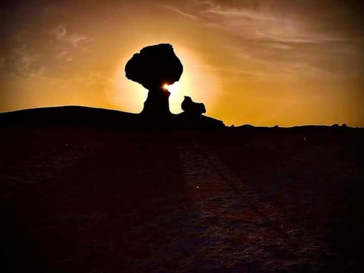 a silhouette of a person sitting on a hill at sunset at Western desert safari in Bawiti