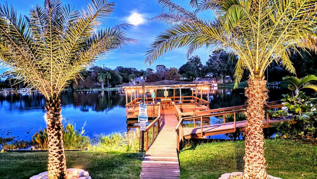 a dock between two palm trees on a lake at Orlando Lakefront Tiny Houses in Orlando