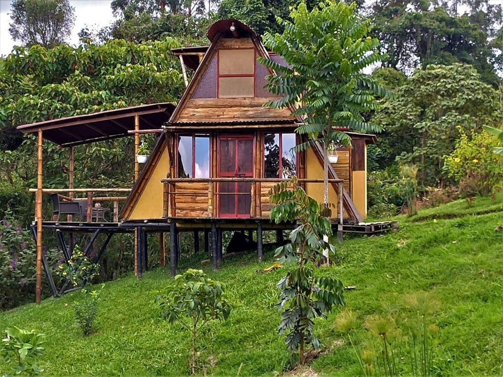 una casa en una colina verde con un árbol en Cántaros Glamping, en Santa Rosa de Cabal