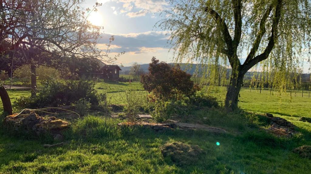 un campo de hierba con un árbol y una valla en Chambre d'hôtes dans les champs en Jeux-lès-Bard
