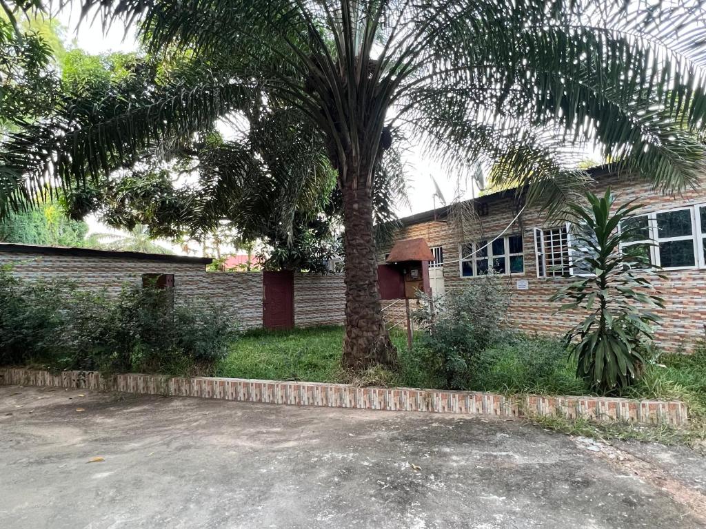 ein Haus mit einer Palme davor in der Unterkunft Limbas Luxury Apartments in Fajara
