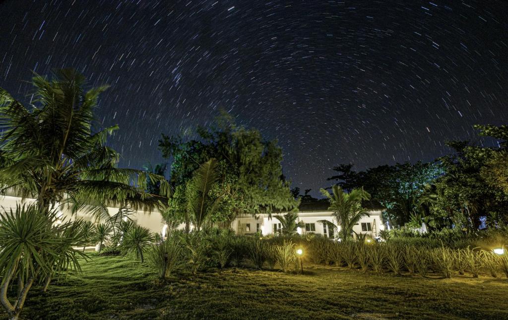 Un jardín fuera de Ocean Vida Beach and Dive Resort