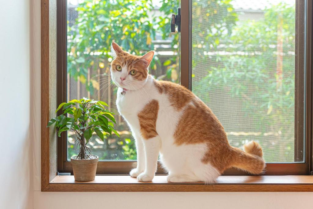 猫 絵 心もとな 10番 ちゃんと「yufu猫」