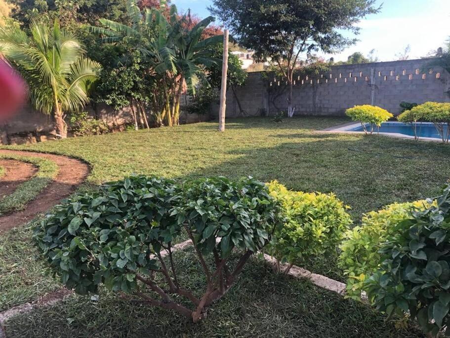 un jardín con un arbusto en medio de un patio en Lugar encantador con alberca en Chiapa de Corzo
