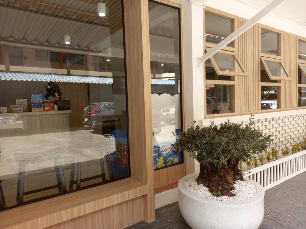 a store front with a potted plant in front of a window at Sataya Apartment in Maha Sarakham