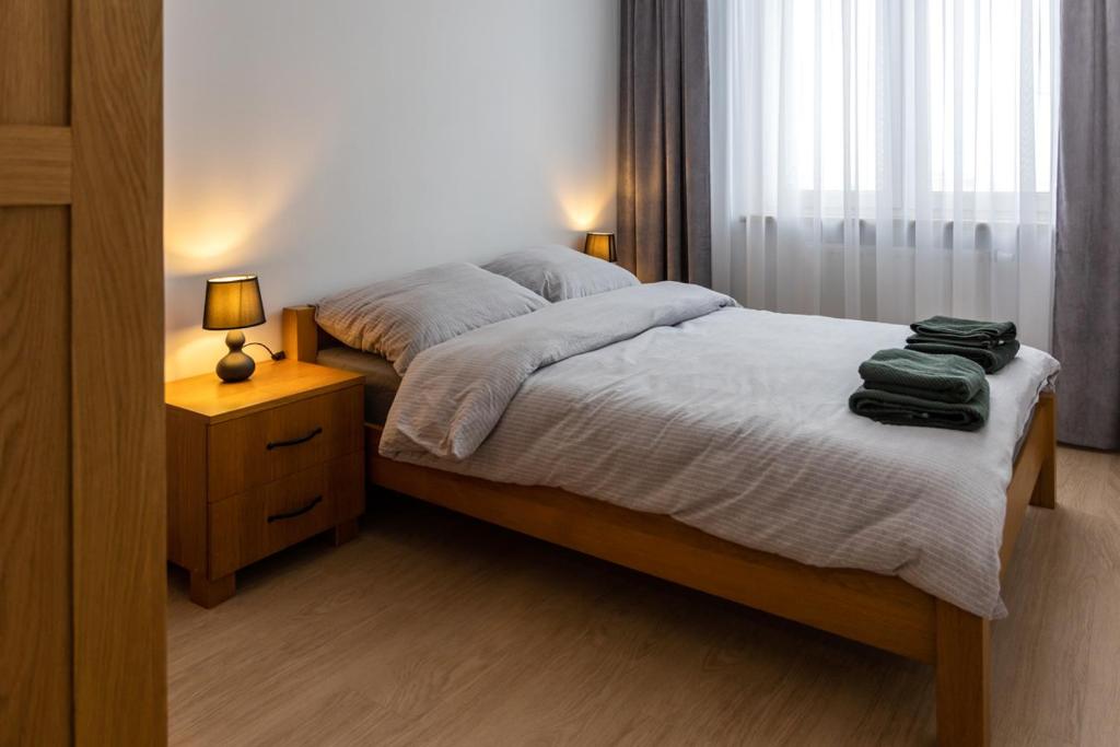 Postel nebo postele na pokoji v ubytování Apartament przy PILECKIEGO 33