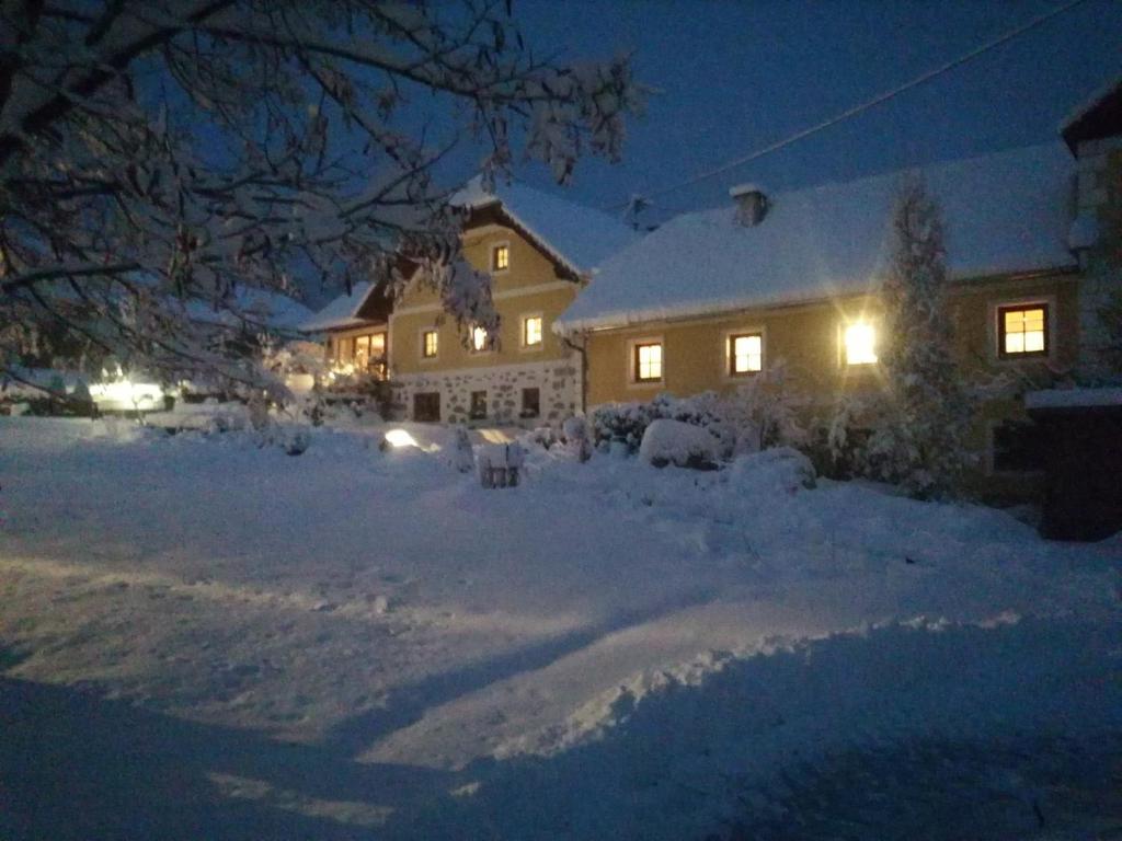 a house is covered in snow at night at Biberhof im Mühlviertel 