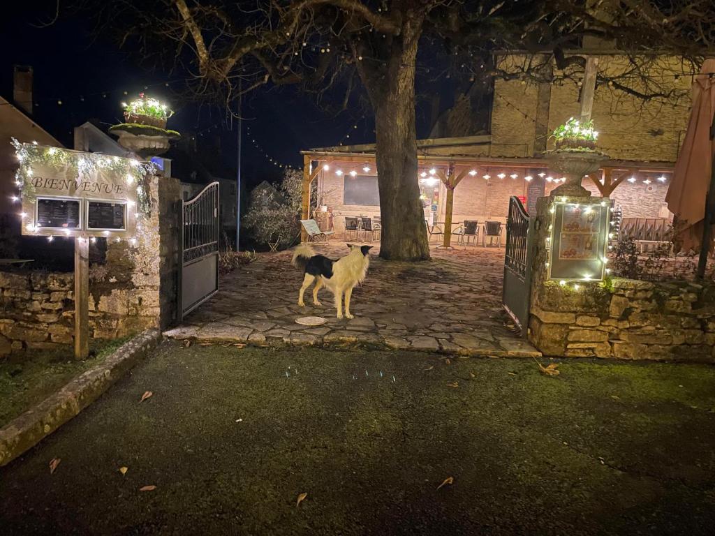 a dog standing in front of a gate at night at Ô MARRONNIER de NADAILLAC in Nadaillac