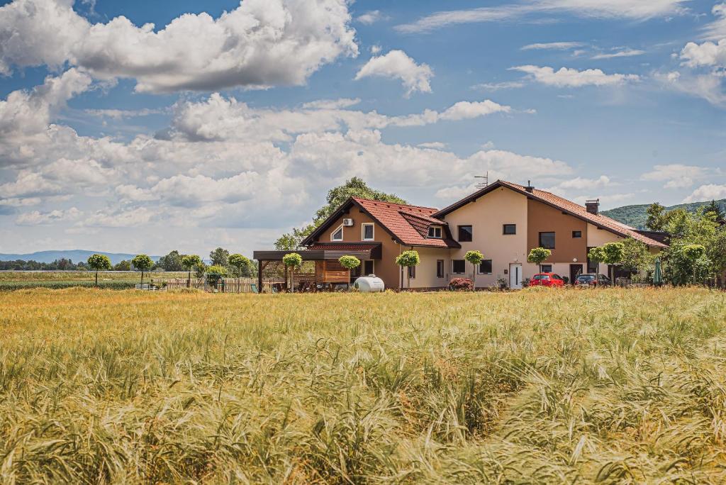 a house in the middle of a field at Lux Living Apartments BUDIČ near Terme Čatež in Brežice