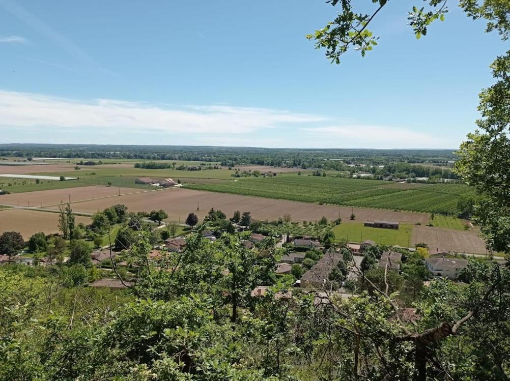 Příroda nedaleko apartmánu