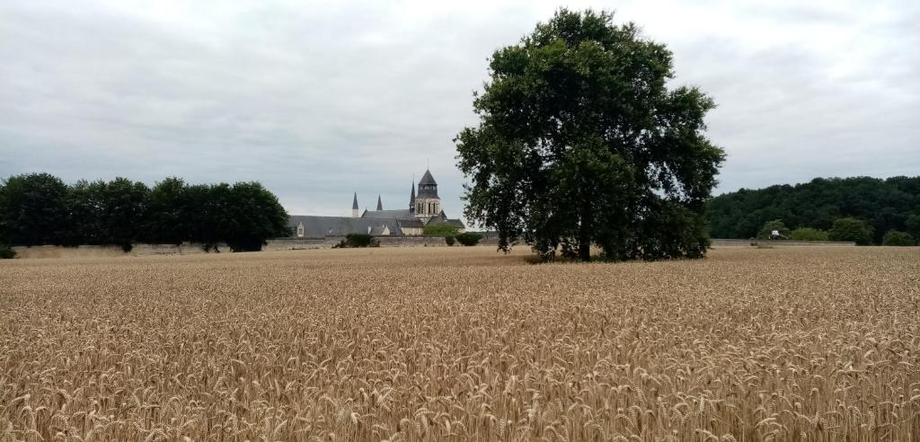 Miestna pamiatka v blízkosti dovolenkového domu