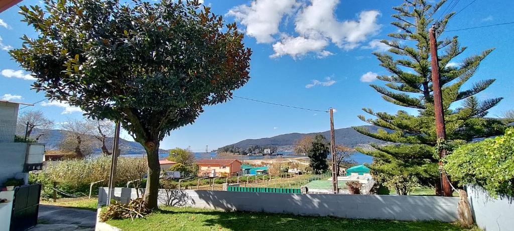 una calle con dos árboles y una valla en Playa de Cesantes, en Pontevedra