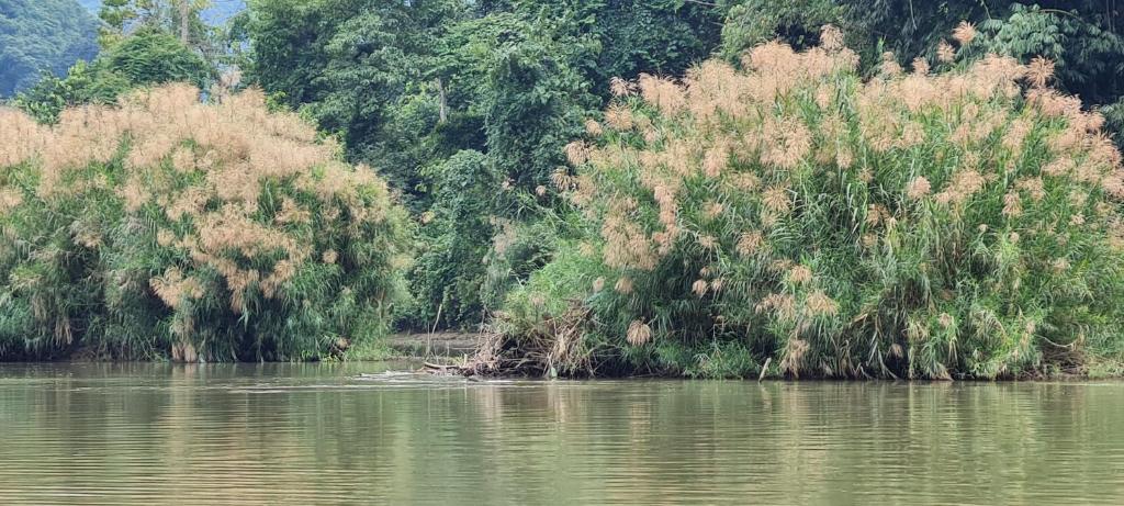 Ba Be Dragon house - Housity