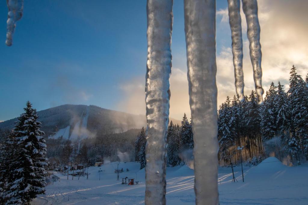 a view of a snow covered mountain with trees at Wellness Hotel Šedý Vlk in Harrachov