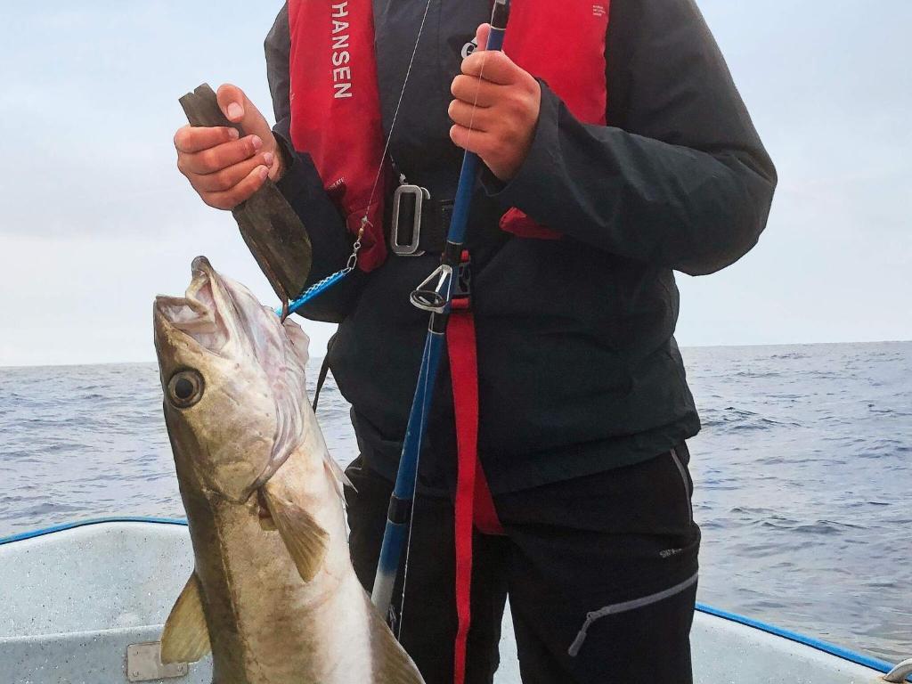 Příroda nedaleko prázdninového domu