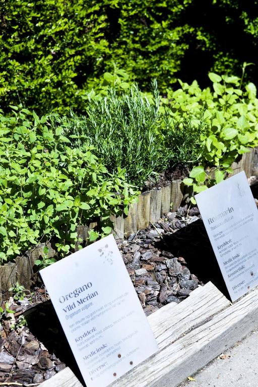 Zahrada ubytování Skjalm Hvide Hotel