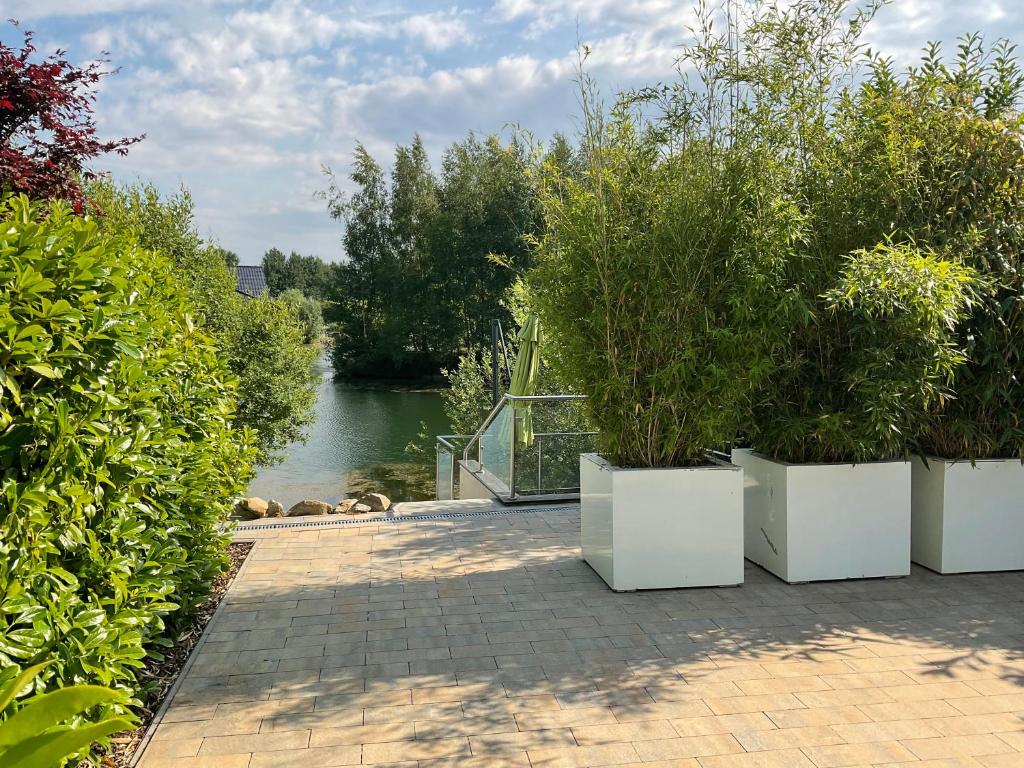 un grupo de plantas en macetas en recipientes blancos junto a un río en Ferienhaus am Lünner See en Lünne