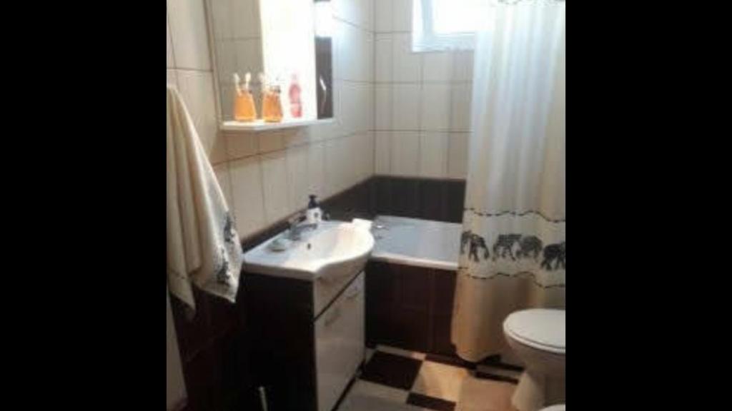 a bathroom with a sink and a toilet and a tub at Vila Adrian Argeș in Vedea