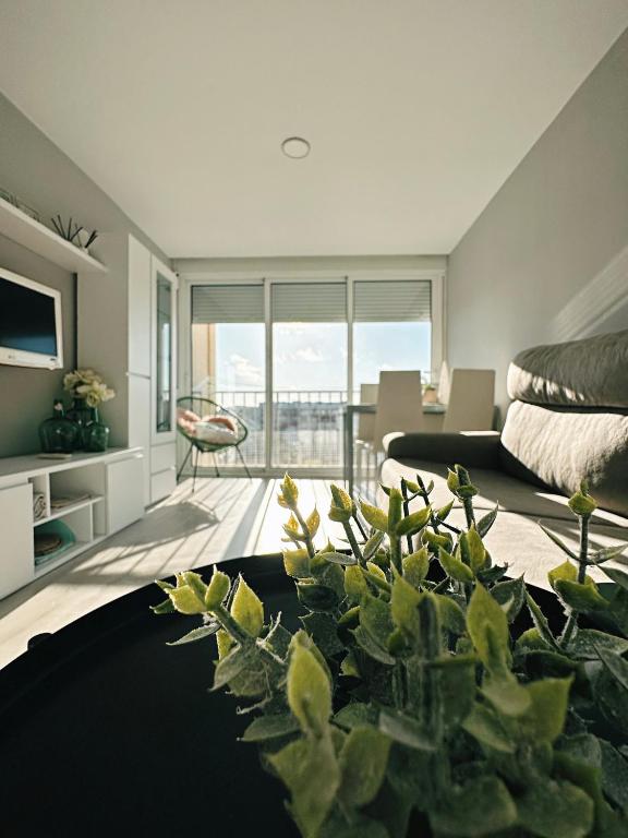 Apartamento Paradis Playa - Apartamento De Un Dormitorio