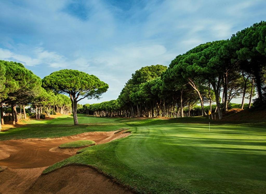 Golf pri horskej chate alebo okolí