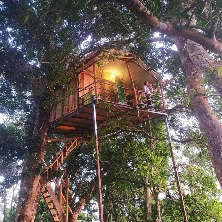 una casa sull'albero al centro di un albero di Pemsee's Tree Town - Eco-friendly,Tree house hostel a Sauraha