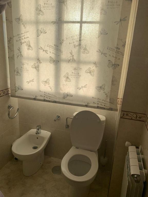 małą łazienkę z toaletą i umywalką w obiekcie Apartamentos M° Esther w mieście A Lanzada