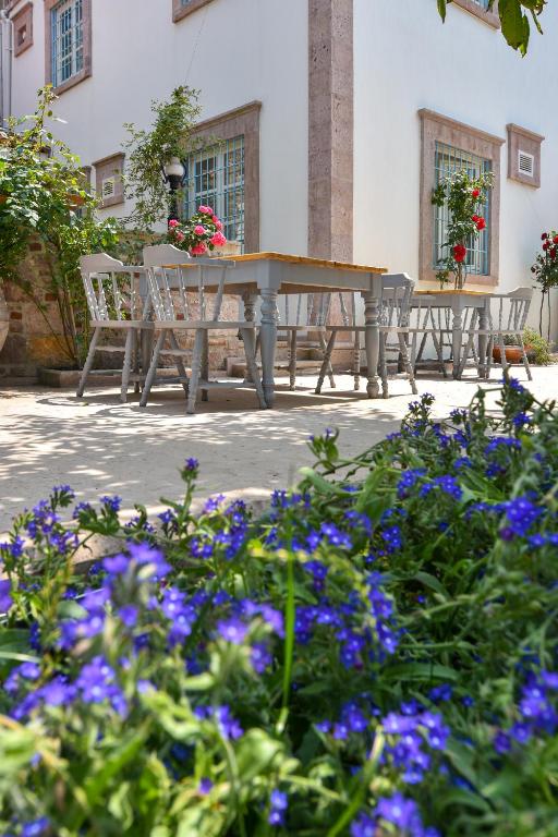 Zahrada ubytování Lunaria Guest House