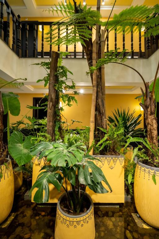 Zahrada ubytování Hoianan Boutique Hotel