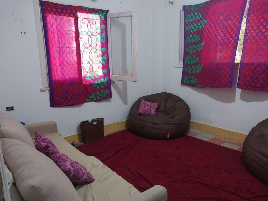 Indulge in purple - Housity