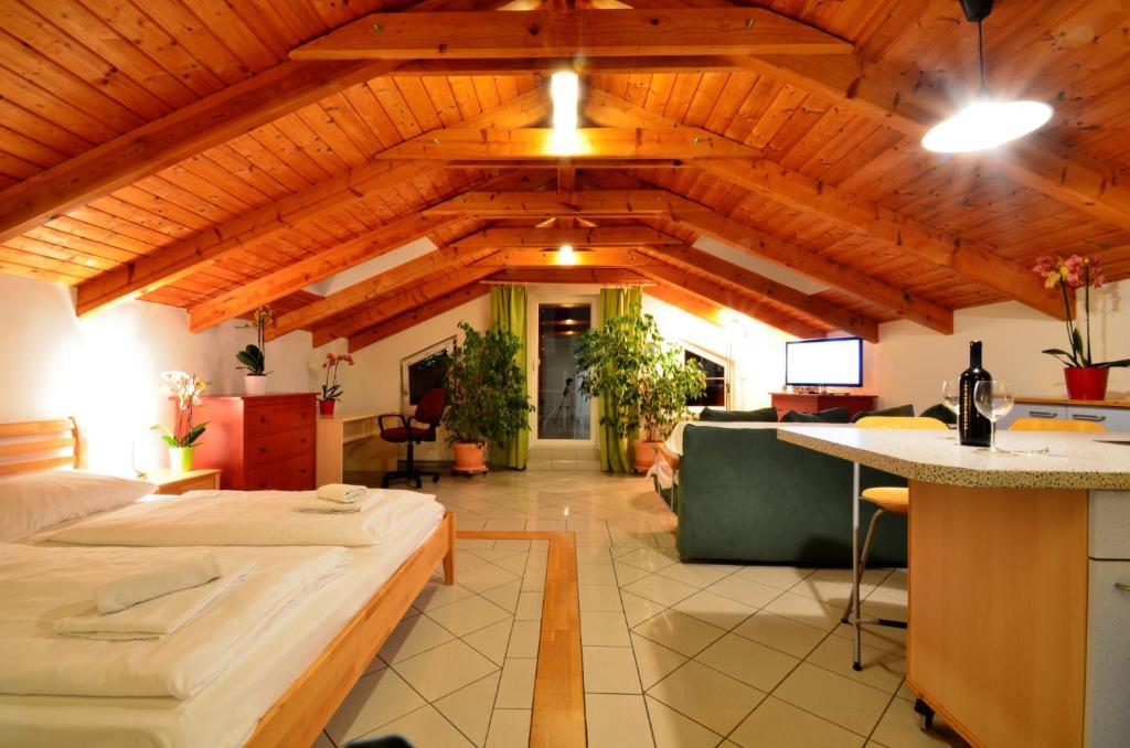 une grande chambre avec un lit et une cuisine dans l'établissement AJO Vienna Terrace - Old Danube Lake view - Contactless Check-in, à Vienne