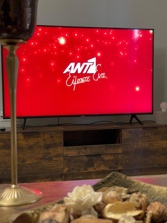 TV a/nebo společenská místnost v ubytování Nemeapolis 1 apt