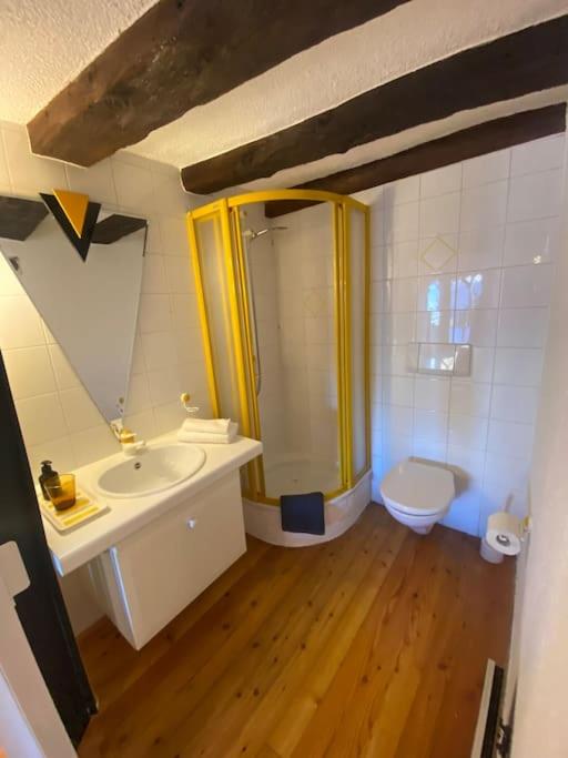 La Majorie de Nendaz - Resim 18