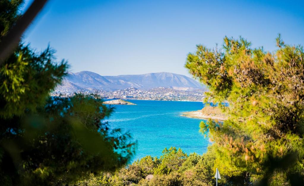 vista su una grande cassa d'acqua con alberi di Villa Avras sea view feel like home properties a Saronida