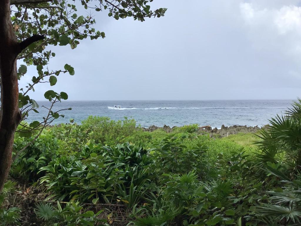 a view of the ocean with a boat in the water at Cocolobo Resort in West End