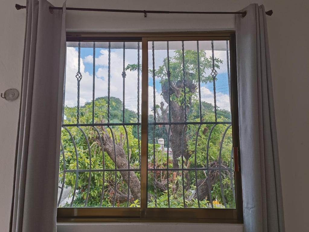 a window with a view of a mountain at La casita del árbol, amplia y cómoda en barrio familiar in Campeche