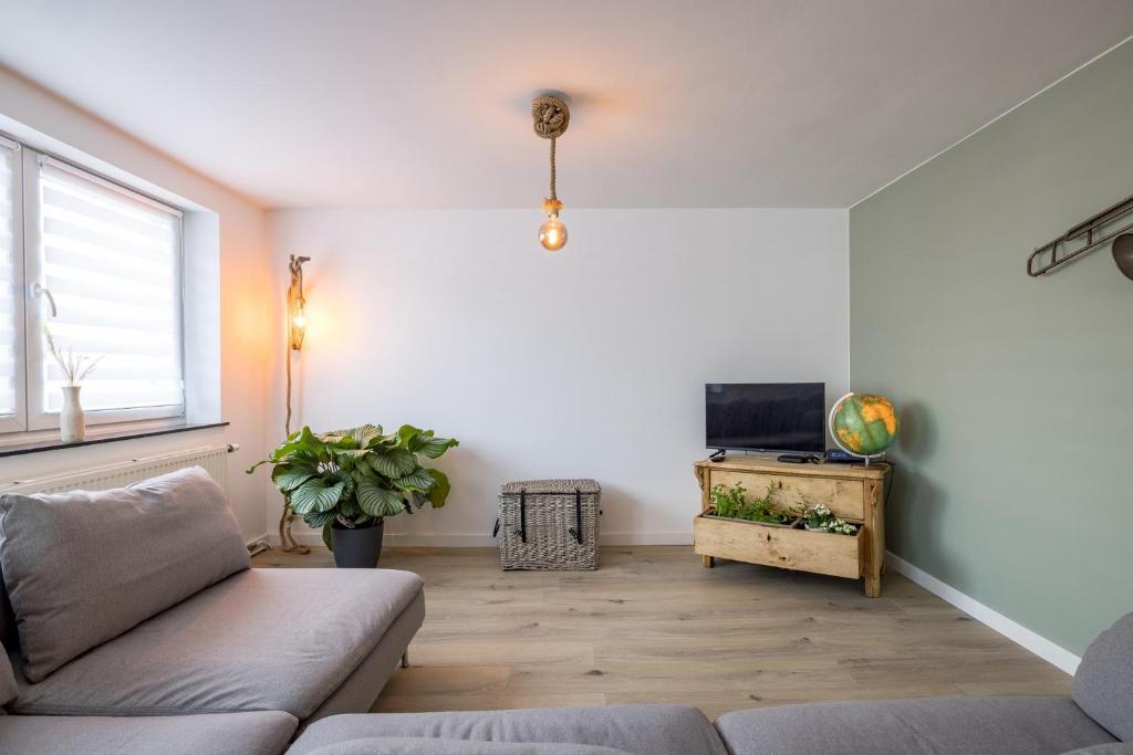 TV a/nebo společenská místnost v ubytování Gîtes in Huy - Appartements chaleureux dans le centre de Huy