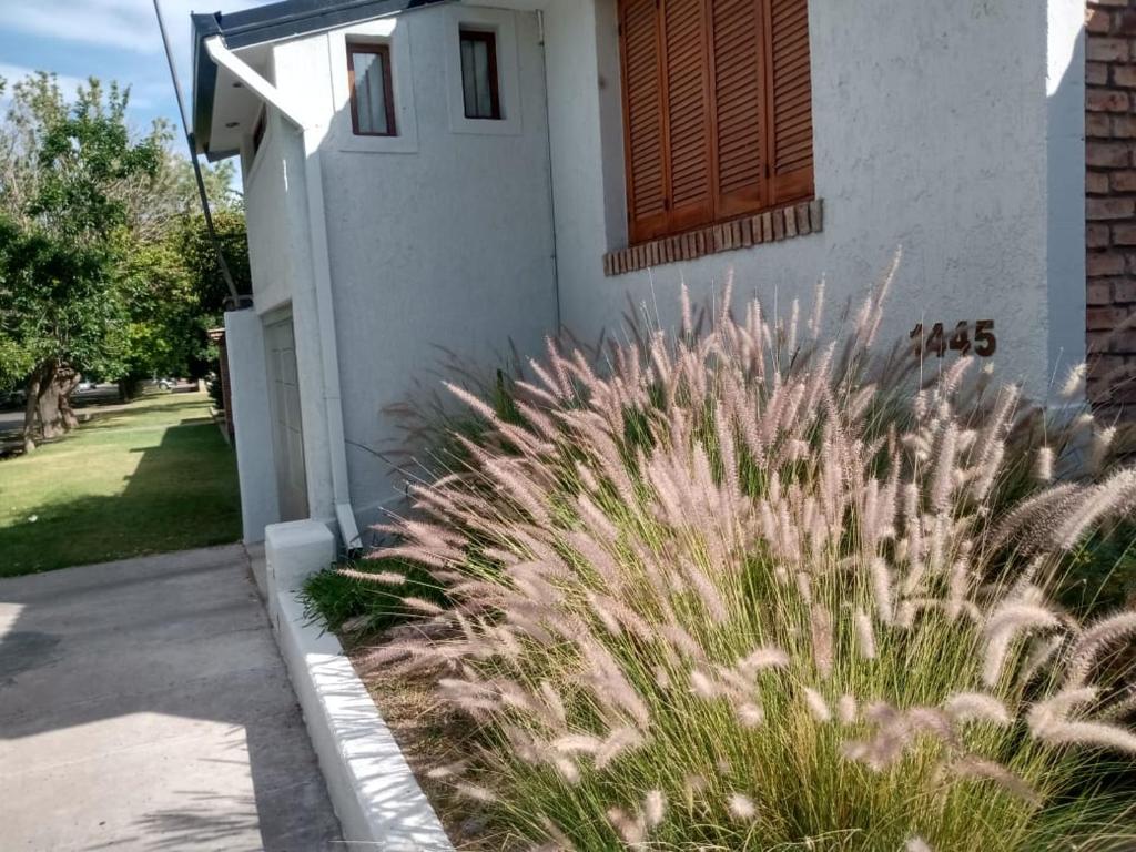 una casa con un poco de hierba alta delante de ella en Casa Simona en San Rafael