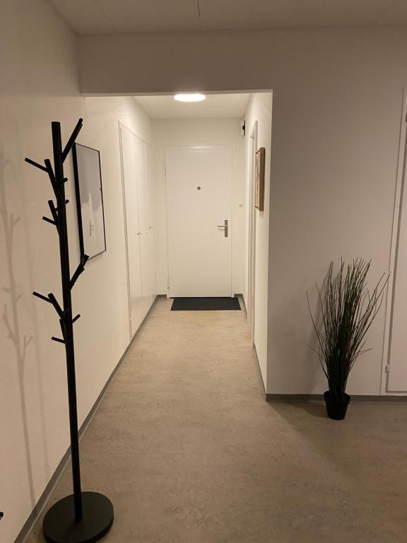 Comfort 1 and 2BDR Apartment close to Zurich Airport - Resim 13