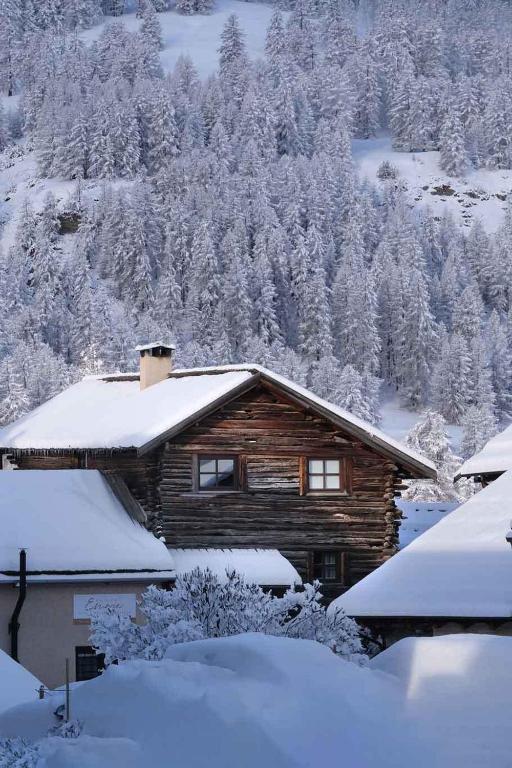 Cabaña de madera con nieve en el techo en Maison Emme en Molines-en-Queyras