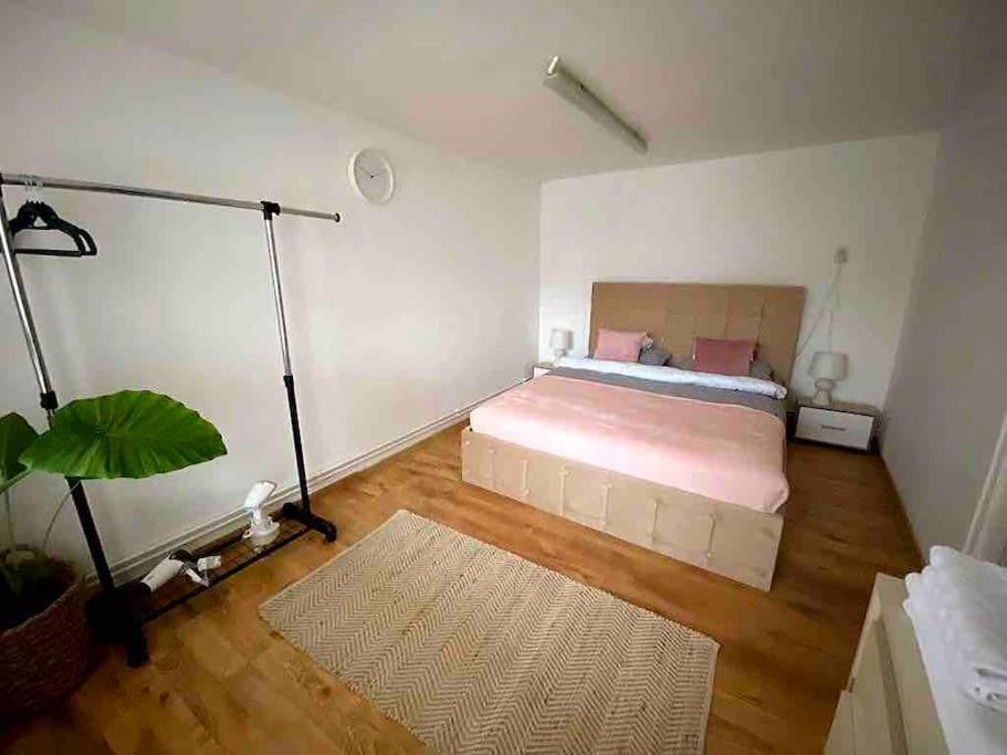 House Apartment in Timisoara - Housity