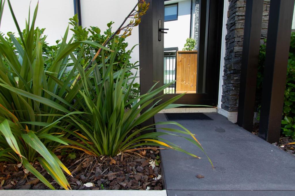 1 Bedroom Gem with Hagley Park at your doorstep - Resim 25