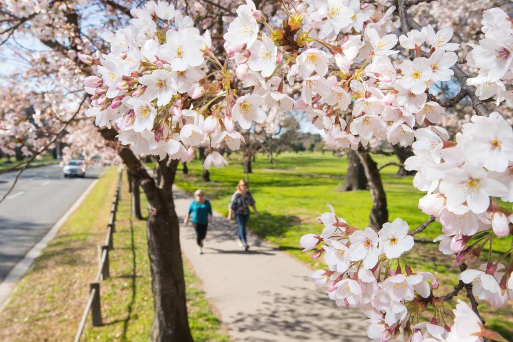 1 Bedroom Gem with Hagley Park at your doorstep - Resim 22