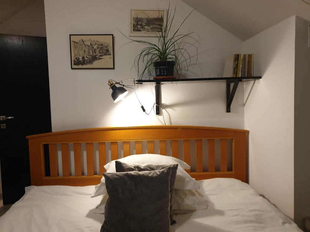 a bed with a wooden headboard and a plant on the wall at Green Forest Apartments in Buşteni