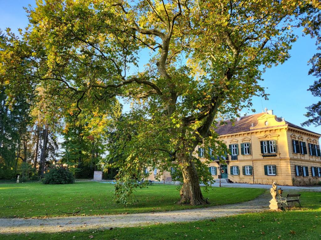 Zahrada ubytování Palais Kneissl