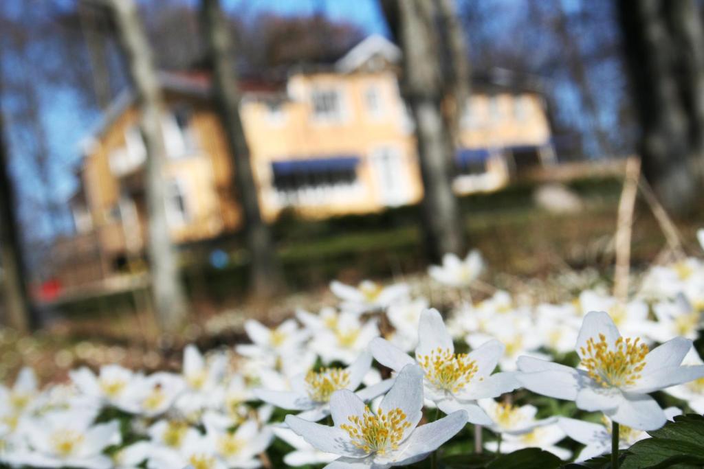Zahrada ubytování Toftastrand Hotell