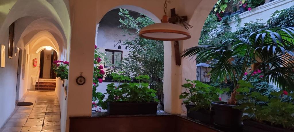 Zahrada ubytování Gästehaus Einzinger