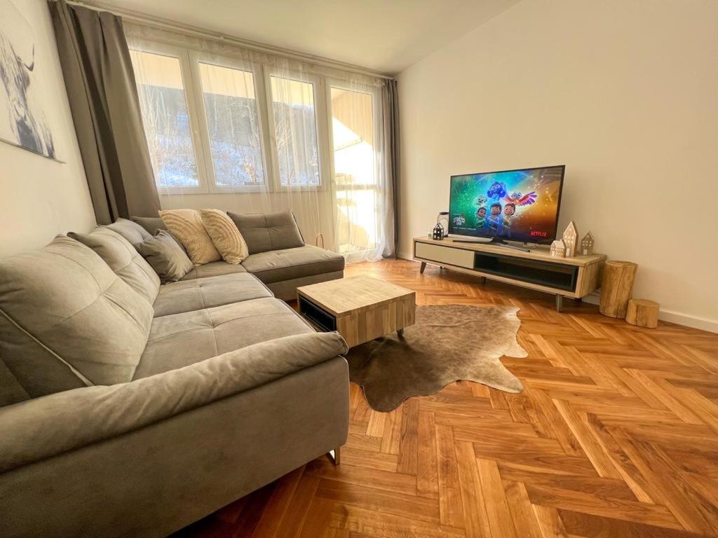 a living room with a couch and a flat screen tv at Apartmán Víšek in Jáchymov