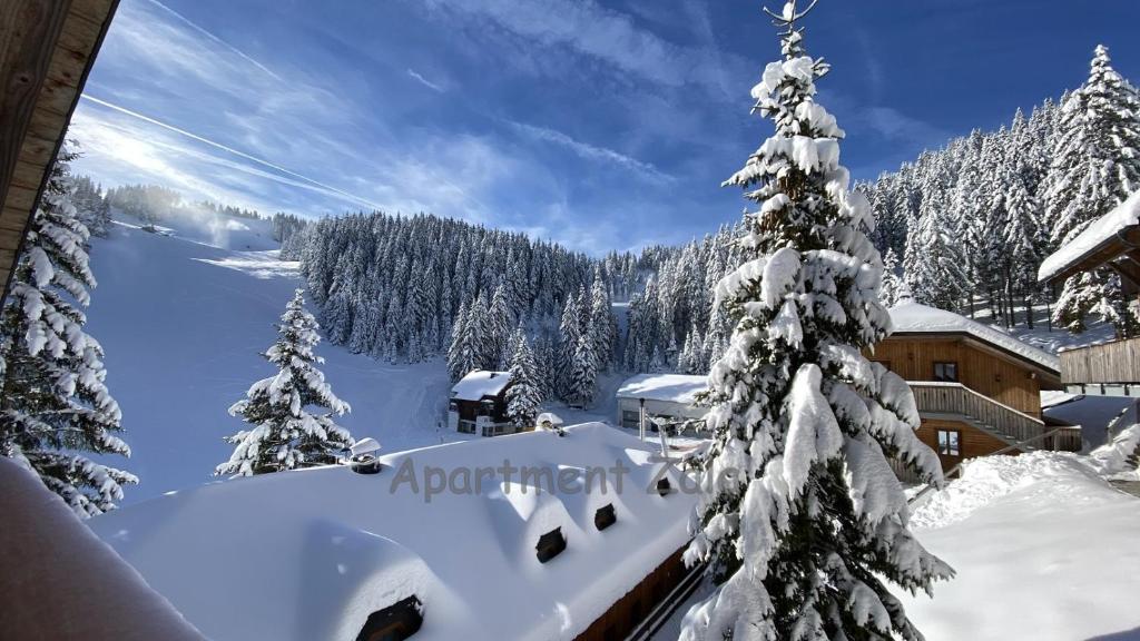 a snow covered christmas tree in front of a house at Apartma Zala, Golte in Mozirska Koča